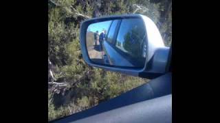 Rain On Her Parade Short Stack