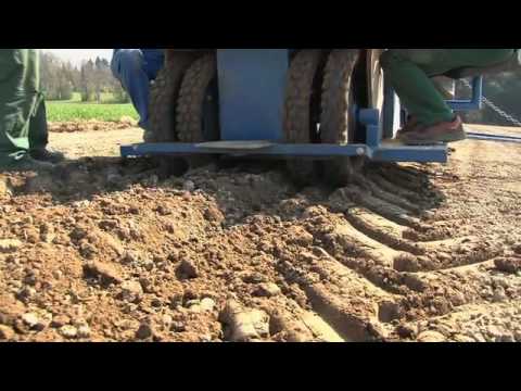 Pflanzung Pappel, Weide und Robinie als Energiepflanzen.mov