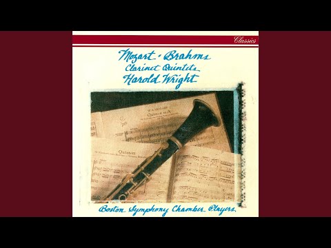 Brahms: Clarinet Quintet In B Minor, Op. 115: 1. Allegro