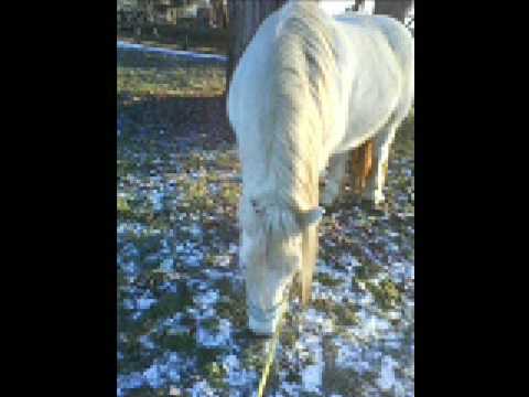 ein schöner tag in Groß Quenstedt