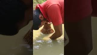 Amazing Village Boys Fishing Skills Polo Fish Catching (Part-515) #shorts