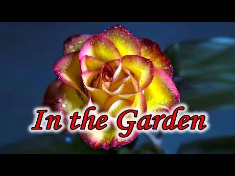 In the Garden - an old time gospel favorite by Bird Youmans