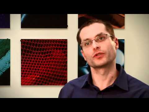 Zephyr Bioharness 3 - UA E39.mp4