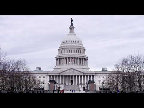 Palladio| Film evento | Trailer Ufficiale (30")