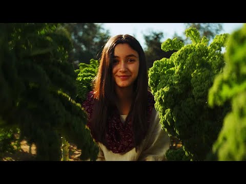 WTE | The Right Decision | Imagefilm