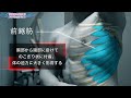 【筋トレ】前鋸筋の鍛え方 全て見せます