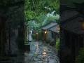 Lovely Rain WhatsApp Status ️ Rainy Season Status