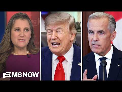 'DERANGED: Fmr. Canadian official blasts 'UNACCEPTABLE' Trump policies against Canada