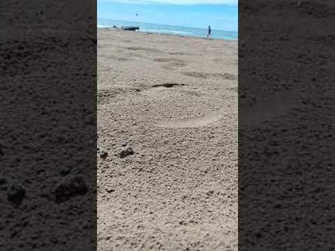 #البحر #الصيف #mon bébé #diyali