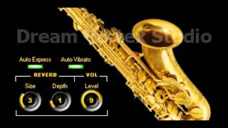 Video thumbnail for DVS Saxophone VST by PLUGINS4FREE