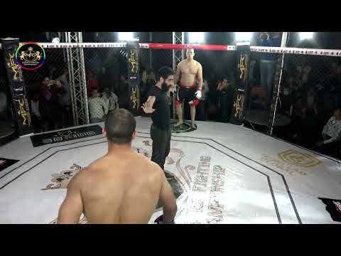 mahmud tantawe mfc 6