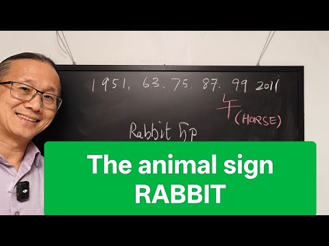 The Rabbit sign in the year of the horse 2026. 