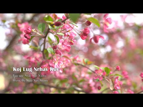Koj Lug Nrhav Kuv - Nyaj Xuv Xyooj