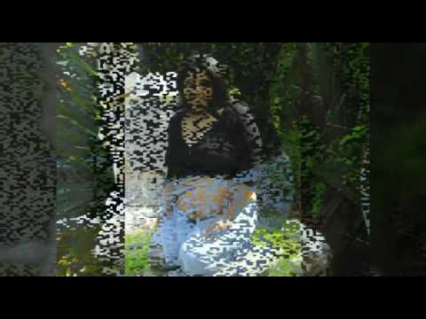 Gracias por se mi princesa Valerie...