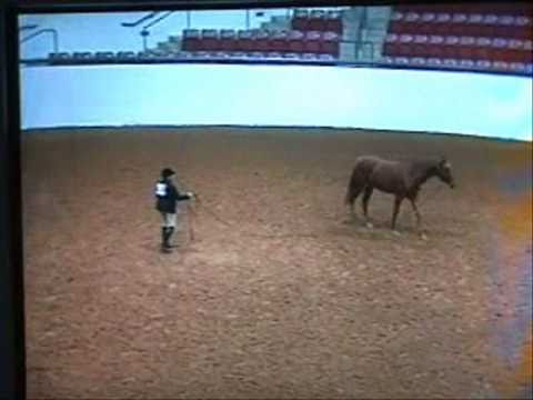 2010 Reserve World Champion -- SOLD -- Handpainted Cameo