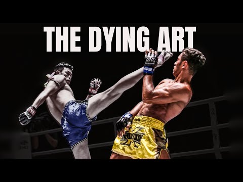 Understand the Art of Counter Fighting (Pro Striking Breakdown)