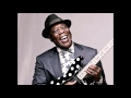 Buddy Guy - Too Soon