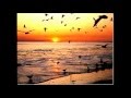 PARADOX - enamoured