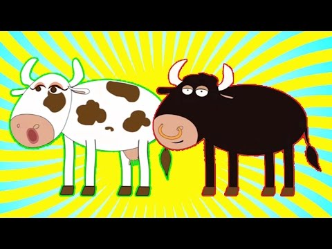 Señora Vaca, Sr. Toro | Y muchas más canciones infantiles | ¡44 min de Lunacreciente!
