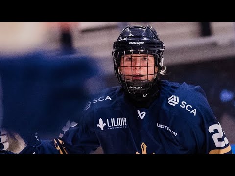 Emme Nelson Sundsvall Hockey Highlights 