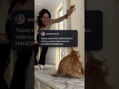 Sahibi kovalarken ağzında poşetle takla atarak kaçan kedi 🐱