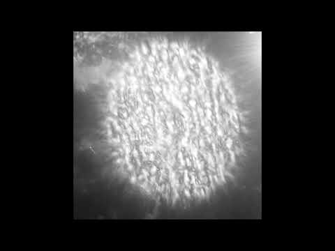 planet uterus - weltenbrände