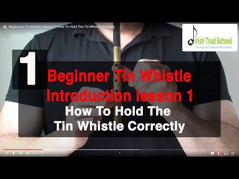 Beginners Tin Whistle Tutorial 1: How To Hold The Tin Whistle Correctly