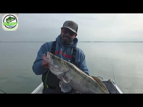 Pescuit la Șalău🎯🎯. Salăul capital🔨🔨l, catch&release❤️❤️