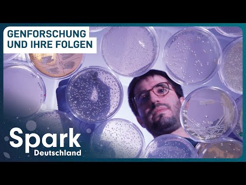 Das Geheimnis der Gene | Von der Genforschung zu Biohackern