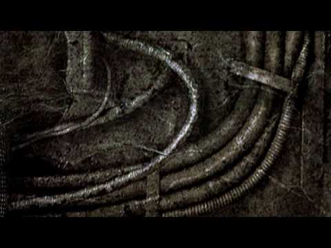 Forbidden Society - The New Cell