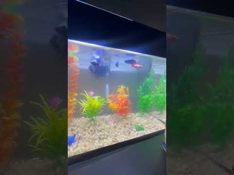 Nano entregue completo em Anicuns-GO