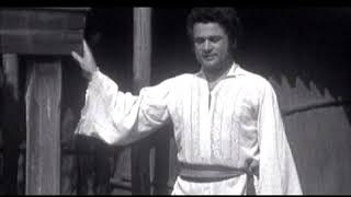 Download lagu ION DOLĂNESCU - Om aș fi de n-ar fi gura (1982) mp3