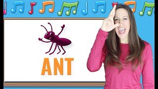 Phonics | The Letter A | Signing for Babies ASL | Letter Sounds A | Miss Patty