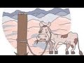 Where The Donkey Is Tied Up ️ ️