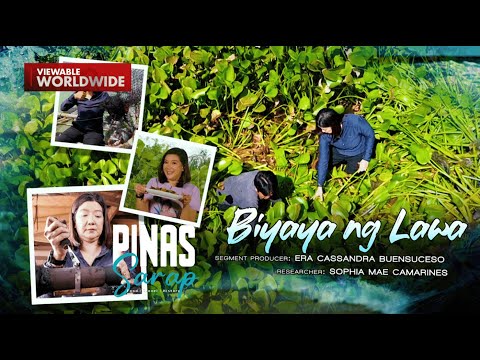 Biyaya mula sa Laguna de Bay (Full Episode) | Pinas Sarap