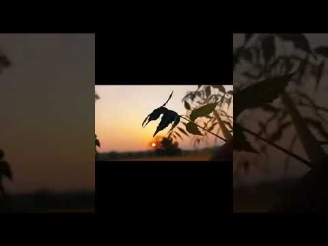 The new morning will be so pleasent . all your wishes turn into reality 🙏🙏🙏❤️❤️