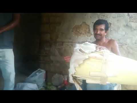 Gaitas en san jacinto bolivar