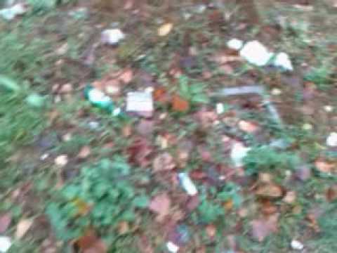 puliamo il mondo 2009 fara sabina (ri)