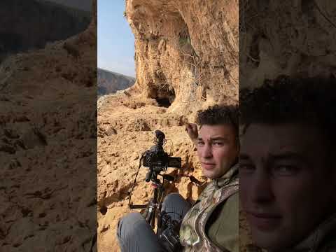 ÇİZGİLİ SIRTLAN İLE TÜRKİYE’DE KARŞILAŞTIM!