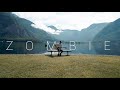 The Cranberries Zombie Acoustic Cover By Dave Winkler