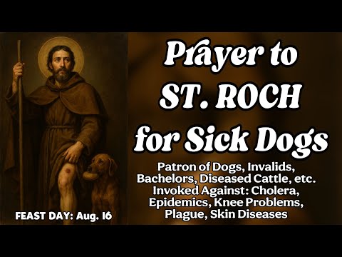 Prayer to Saint Roch for Sick Dogs