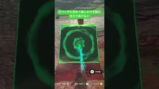 【#ゼルダの伝説ティアーズオブザキングダム 】カバンダに初めて話しかける前に支えてあげると…