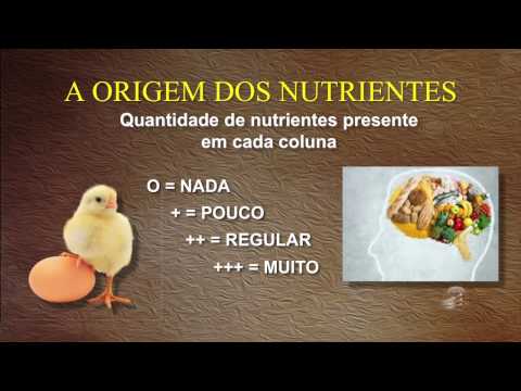 Saúde Viva 8: A Origem dos Nutrientes - Peter Carstens