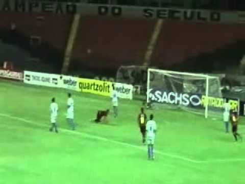 GOL DE MOÉSIO SPORT X CABENSE JR