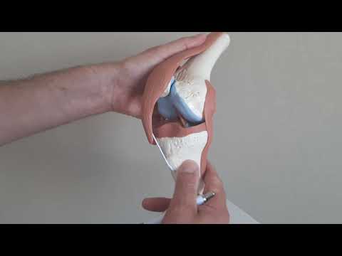 Inflamația tendonului în articulația genunchiului