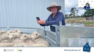 WEBINAR: Sheep producers explain the benefits of eID | ISC Stand By What You Sell