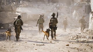 המלחמה בישראל | היום ה-345 (לאומנות - ישראל, המזרח התיכון והעולם) - התמונה מוצגת ישירות מתוך אתר האינטרנט יוטיוב. זכויות היוצרים בתמונה שייכות ליוצרה. קישור קרדיט למקור התוכן נמצא בתוך דף הסרטון