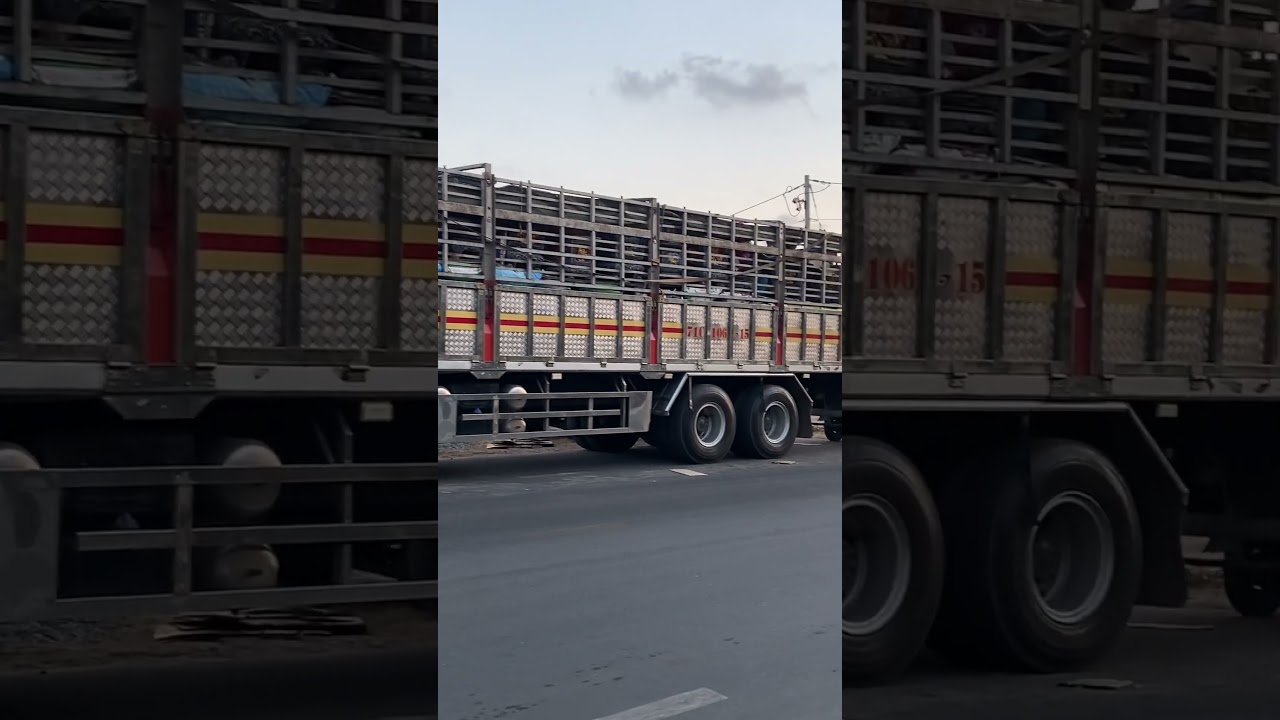 Chậu Cảnh Chuẩn Nguyễn xin chân thành cảm ơn a khách sỉ xa ở bình phước