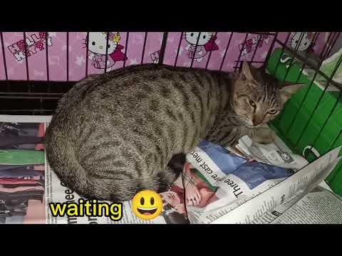 Nganti jam ka beranak ❤️