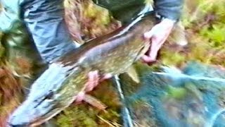preview picture of video 'Fly fishing for Pike; Co. Donegal, Ireland'